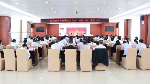 湖南省欧宝网页版入口集团召开“两优一先”表彰大会